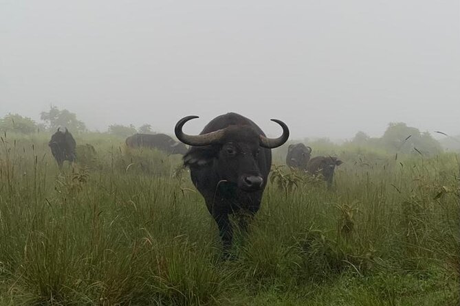 03 days Serengeti and Ngorongoro Crater group (camping) - Day one: the long road to the Serengeti