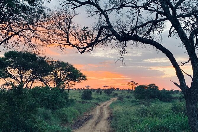 04 Days Tarangire, Serengeti and Ngorongoro crater group (Camping - Comfort, pace, and what to pack mentally