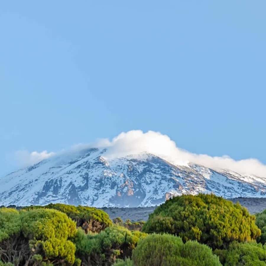 #1. Best Kilimanjaro Day hike Tour-Machame Route-ISMANI - What this Kilimanjaro day hike really involves