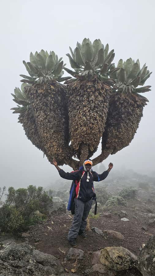 #1. Best Kilimanjaro Day hike Tour-Machame Route-ISMANI - Is the $115 price good value?