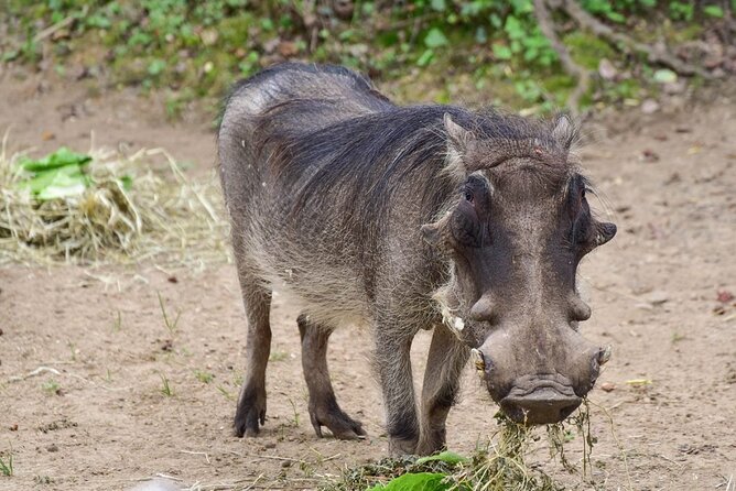 1 Day: Arusha National Park - Who will get the most from this day?