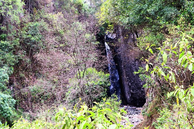 1 Day Arusha national park (Game drive and walking safari). - Mount Meru gives the park its vertical drama