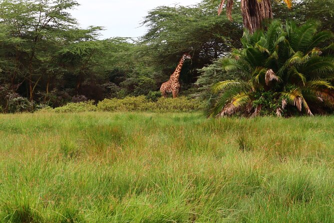1 Day Arusha national park (Game drive and walking safari). - Momela Lakes add color and contrast