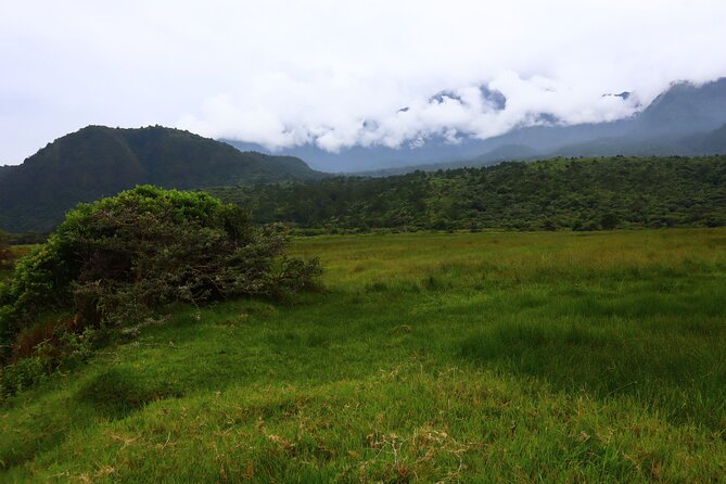 1 Day Arusha national park (Game drive and walking safari). - The walking safari brings you closer to the park