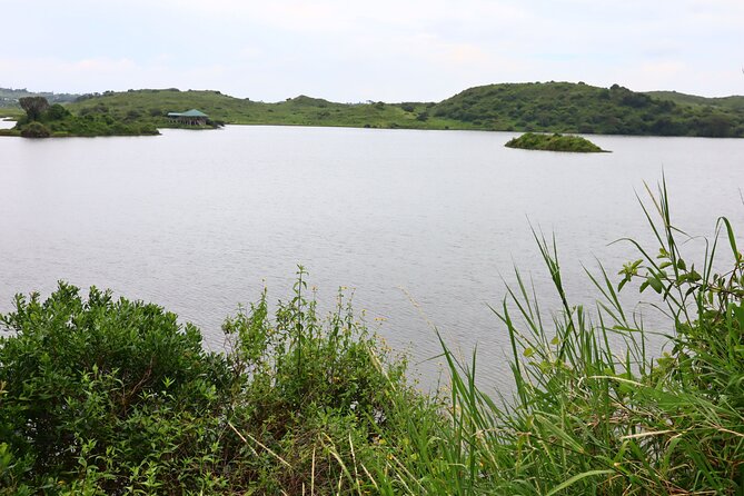 1 Day Arusha national park (Game drive and walking safari). - The guides are central to the experience