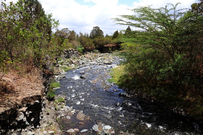1 Day Arusha national park (Game drive and walking safari). - Starting at 8:00 and meeting the guide at 8:30