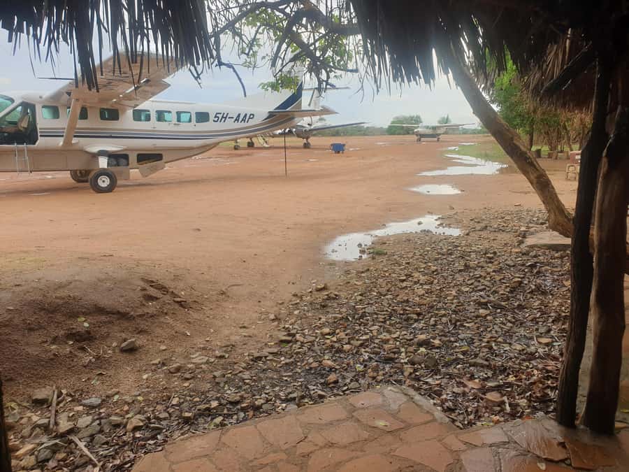 1 Day Fly in Safari Zanzibar Nyerere National Park - The pre-dawn pickup from Zanzibar hotels