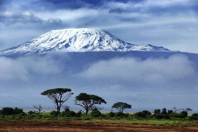 1 Day: Hiking Majestic Kilimanjaro - Key points at a glance