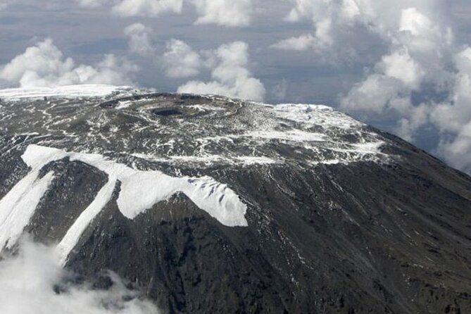 1 Day: Hiking Majestic Kilimanjaro - What this Kilimanjaro day hike really offers