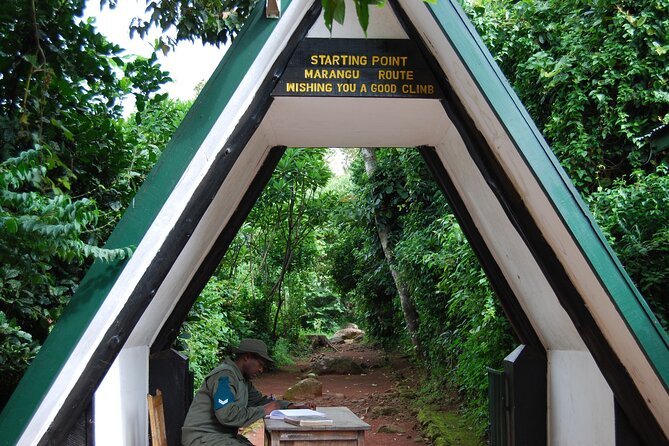 1 Day: Hiking Majestic Kilimanjaro - The descent through the forest