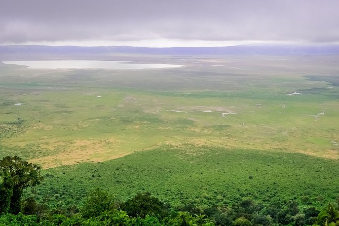 1 Day Joined Group Safari in Ngorongoro Crater National Park - Breakfast at the campsite around 7:00 am