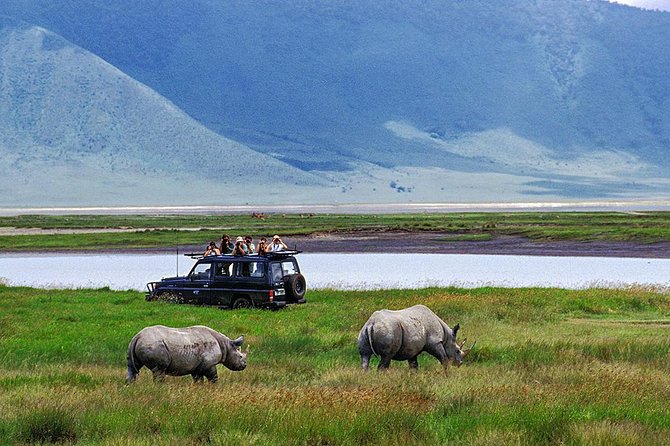 1 Day Joined Group Safari in Ngorongoro Crater National Park - 5:00 am pickup from Arusha