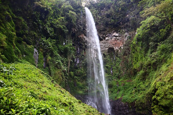 1 Day Kilimanjaro forest (mambori waterfalls). - Key points at a glance