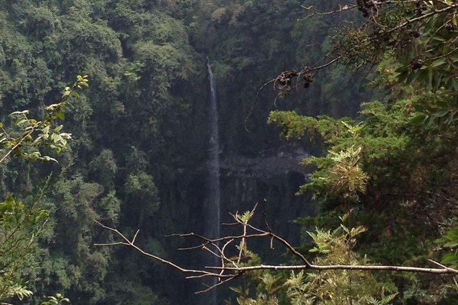 1 Day Kilimanjaro forest (mambori waterfalls). - Reaching the Kilimanjaro forest from Arusha or Moshi