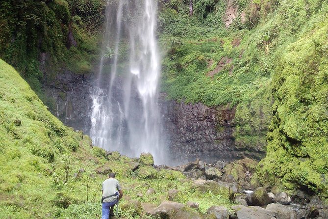 1 Day Kilimanjaro forest (mambori waterfalls). - Mambori Waterfall and its 80-meter drop