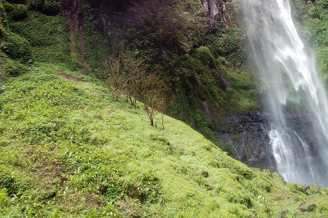 1 Day Kilimanjaro forest (mambori waterfalls). - The story of Chief Meli adds meaning to the walk
