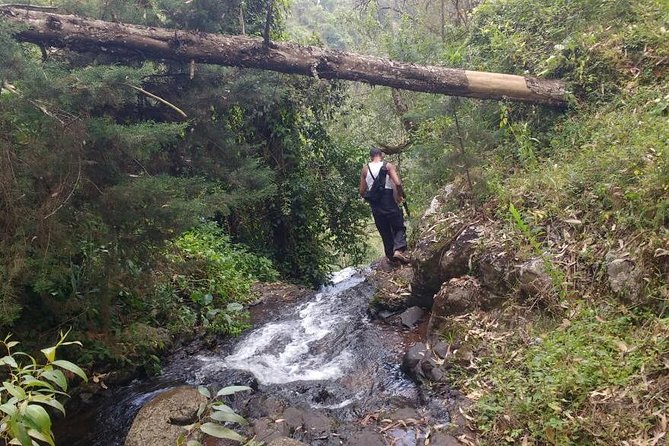 1 Day Kilimanjaro forest (mambori waterfalls). - Why the private format matters