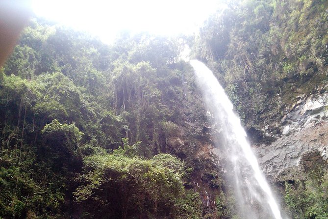 1 Day Kilimanjaro forest (mambori waterfalls). - Weather, timing, and what to confirm