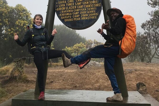 1 Day Kilimanjaro Hiking - Machame Route - What this Machame Route experience is really offering