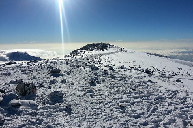1 Day Kilimanjaro Hiking - Machame Route - The Southern Circuit and Southern Ice Field