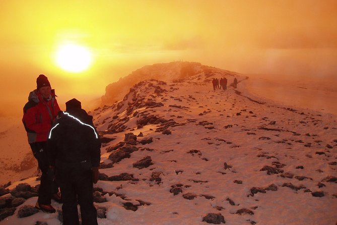 1 Day Kilimanjaro Hiking - Machame Route - Barafu and the summit wording
