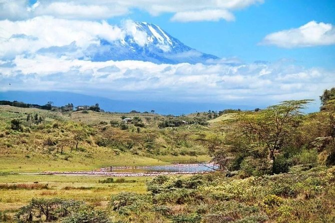 1 Day Kilimanjaro Hiking - Machame Route - Descending by the Mweka route