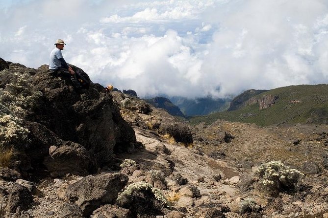 1 Day Marangu Route Climbing Kilimanjaro - Key points about this Kilimanjaro day hike