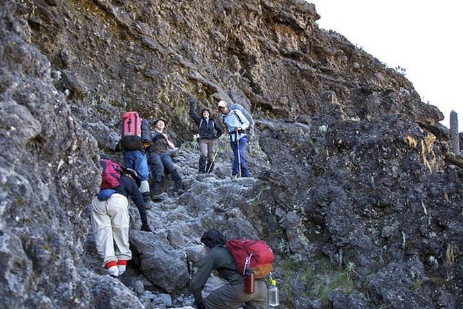 1 Day Marangu Route Climbing Kilimanjaro - From Arusha to Marangu Gate in a 7-seat 4x4