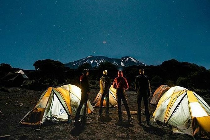 1 Day Marangu Route Climbing Kilimanjaro - Reaching Mandara Hut at 9,022 feet