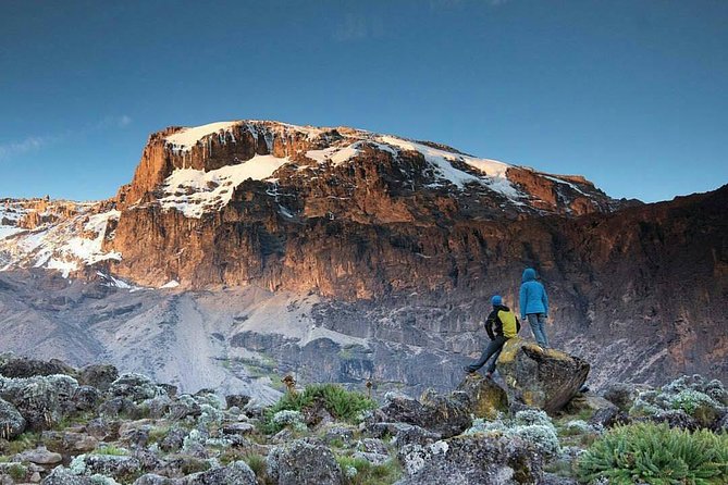 1 Day Marangu Route Climbing Kilimanjaro - Is $250.77 per person good value?