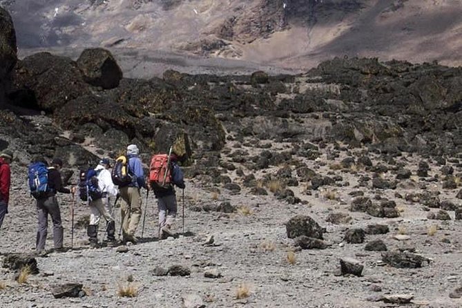 1 Day Marangu Route Climbing Kilimanjaro - Who should book this day hike?