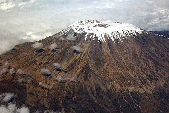 1 Day Marangu Route Climbing Kilimanjaro - Walking through the Marangu forest