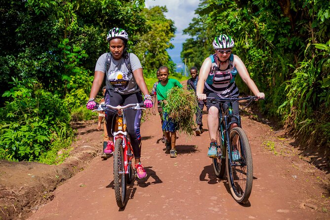 1-Day Moshi Villages bike tour - Rice fields, sugarcane, and the Chagga countryside