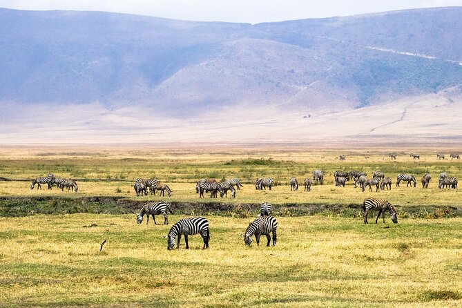 1 Day Ngorongoro Crater Group Jioning Safari - Descending to the crater floor