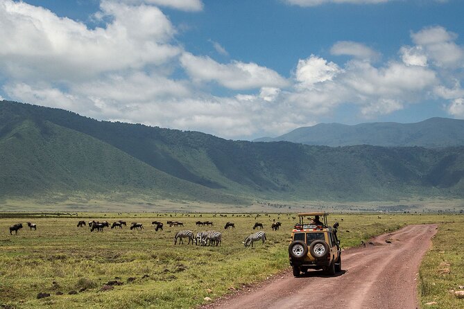 1 Day Ngorongoro Crater Group Jioning Safari - Picnic lunch beside Ngoitokok Swamp