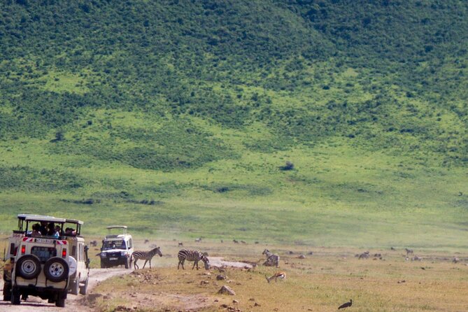 1 Day Ngorongoro Crater Group Jioning Safari - What the $325 price really covers