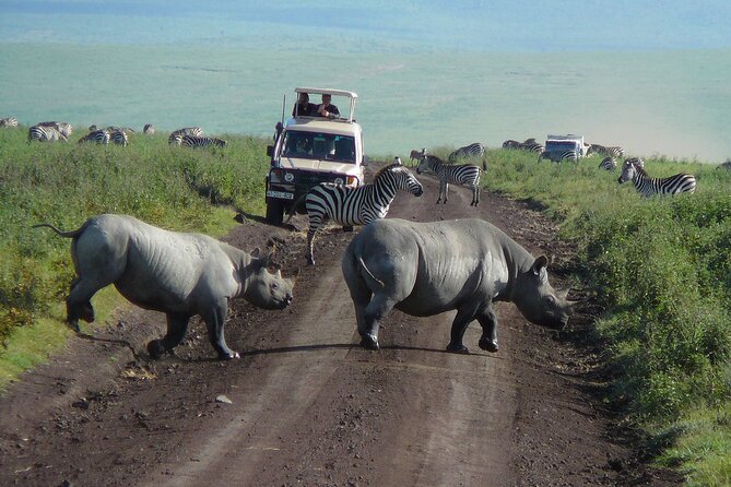 1 Day Ngorongoro Crater Group Jioning Safari - The early start from Arusha
