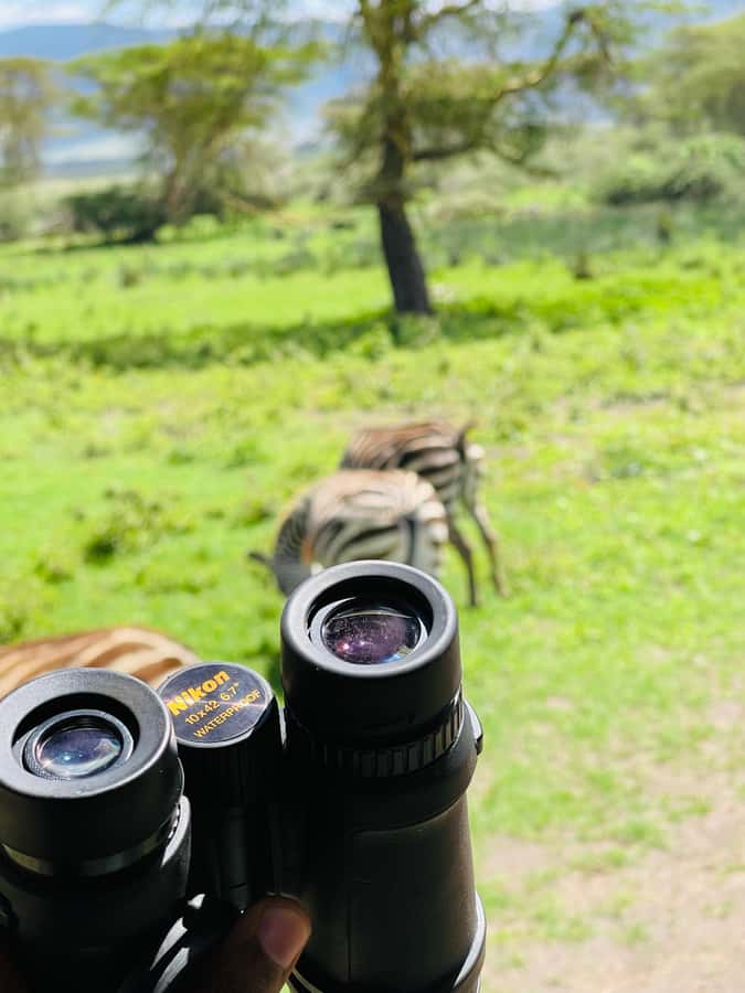 1 Day Ngorongoro Crater Group joining safari - Ngoitokok Swamp and the picnic lunch