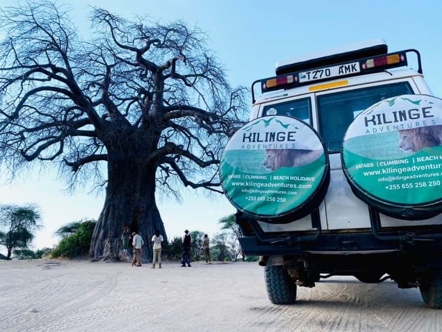1-Day Ngorongoro Crater Special Big 5- Joining Group Safari - The early morning road from Arusha or Moshi