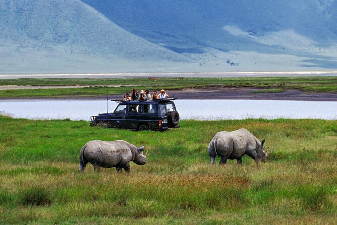 1 Day Private Ngorongoro Crater Safari - The First Look From the Crater Rim