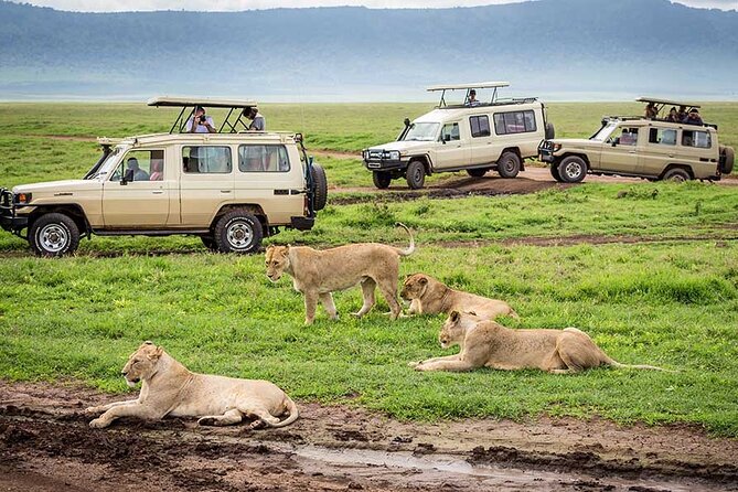 1 Day Private Ngorongoro Crater Safari - Game Viewing Inside the Crater