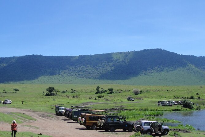 1 Day Private Ngorongoro Crater Safari - Lions, Cubs, and the Big Five Question
