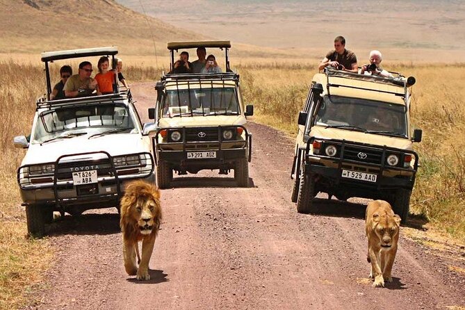 1 Day Private Ngorongoro Crater Safari - What the $565.18 Price Really Covers