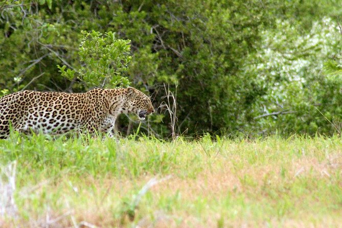 1-Day Ruaha National Park - Leaving Iringa for a 10-hour park day