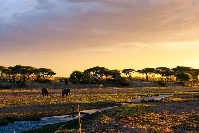 1-Day Ruaha National Park - Entering Ruaha among baobabs and river country