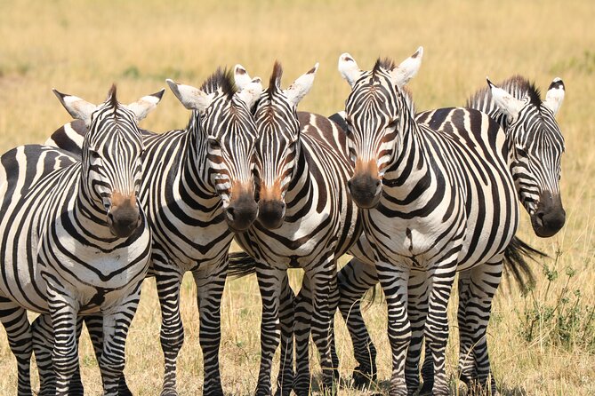1-Day Safari-Trip to Tarangire National Park - From Arusha to the park entrance