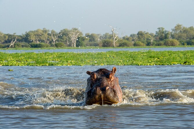 1-Day Selous (Nyerere National Park) Fly-In Safari from Zanzibar - Is $550 a Fair Price?