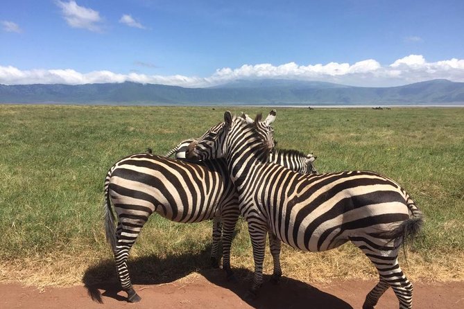 1 Daytrip Amazing to Ngorongoro Crater from Arusha or Moshi - Key points to know before booking