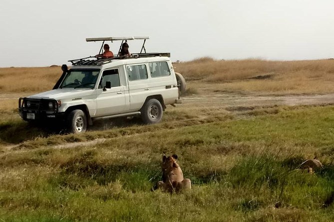 1 Daytrip Amazing to Ngorongoro Crater from Arusha or Moshi - Is $800 per person good value?