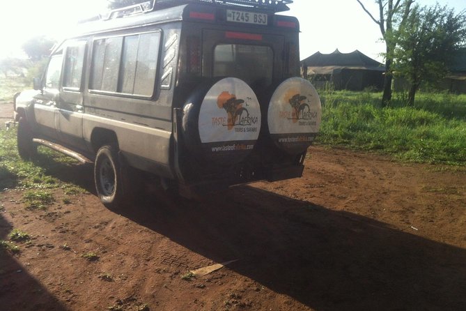1 Daytrip Amazing to Ngorongoro Crater from Arusha or Moshi - Inside the 4x4 with the viewing roof